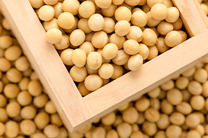 茨城産大豆「納豆小粒」